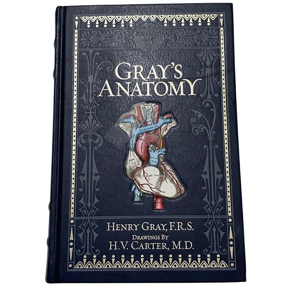 Gray's Anatomy Henry Gray Barnes & Noble Fifteenth Edition Collectible 2010
